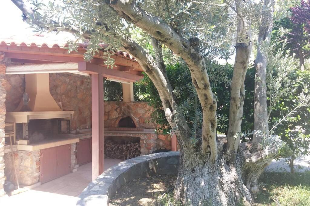Seaside Villa Andronikos Amarynthos Eksteriør bilde