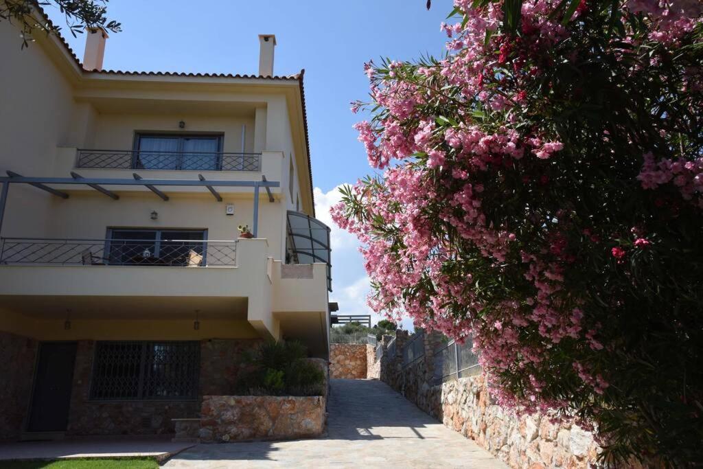 Seaside Villa Andronikos Amarynthos Eksteriør bilde