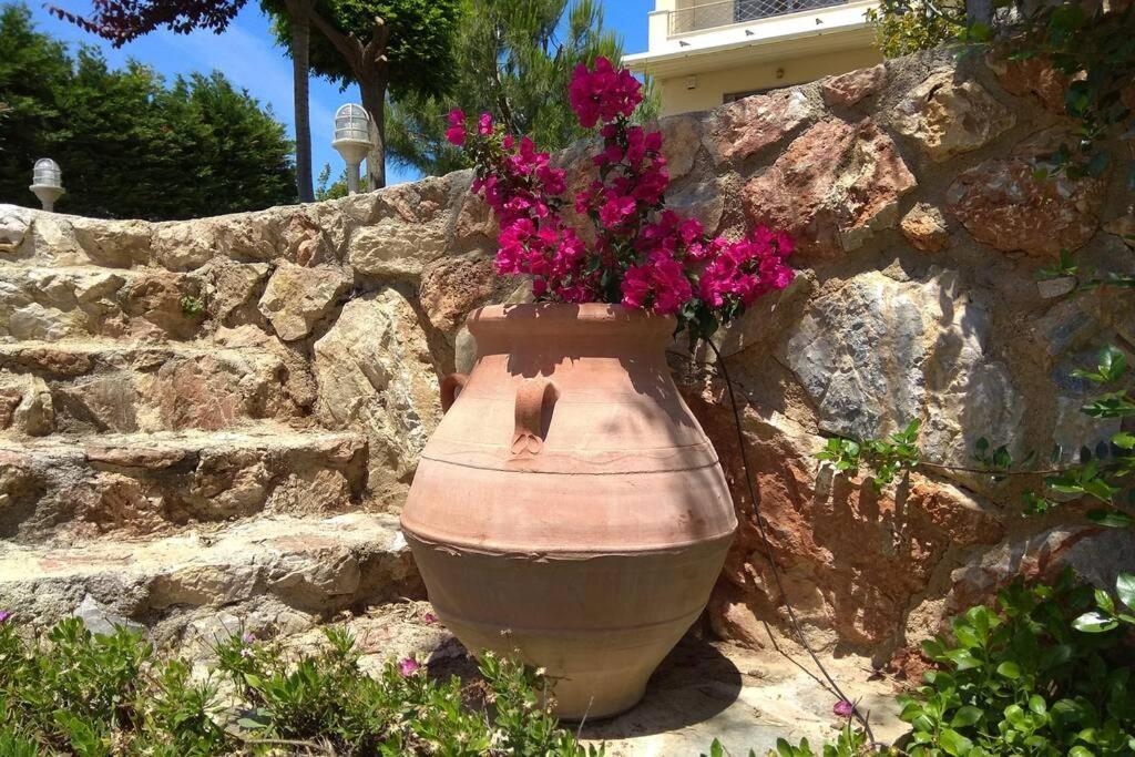 Seaside Villa Andronikos Amarynthos Eksteriør bilde