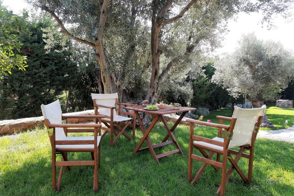 Seaside Villa Andronikos Amarynthos Eksteriør bilde