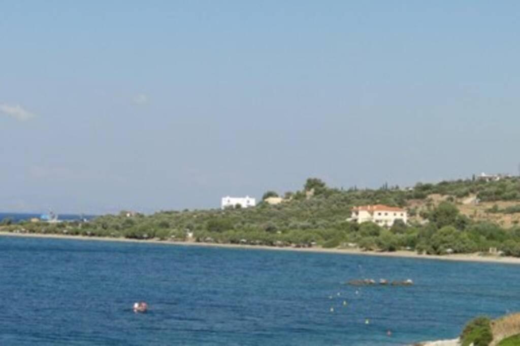 Seaside Villa Andronikos Amarynthos Eksteriør bilde