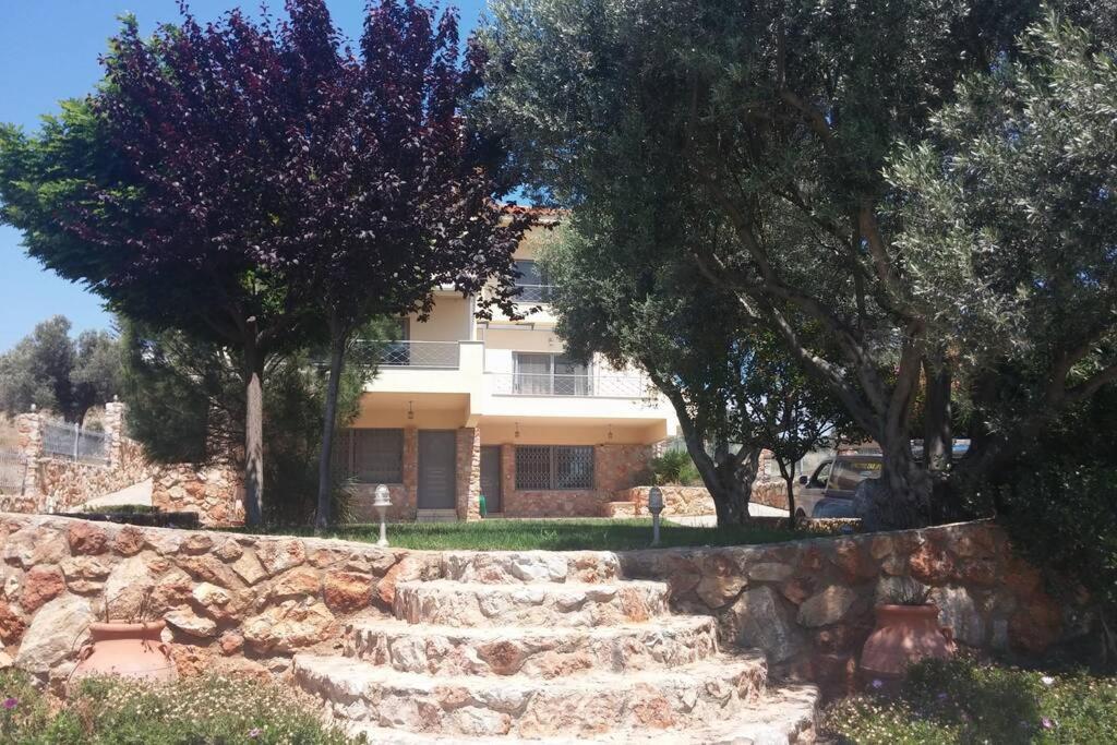 Seaside Villa Andronikos Amarynthos Eksteriør bilde