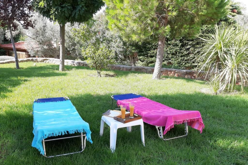 Seaside Villa Andronikos Amarynthos Eksteriør bilde