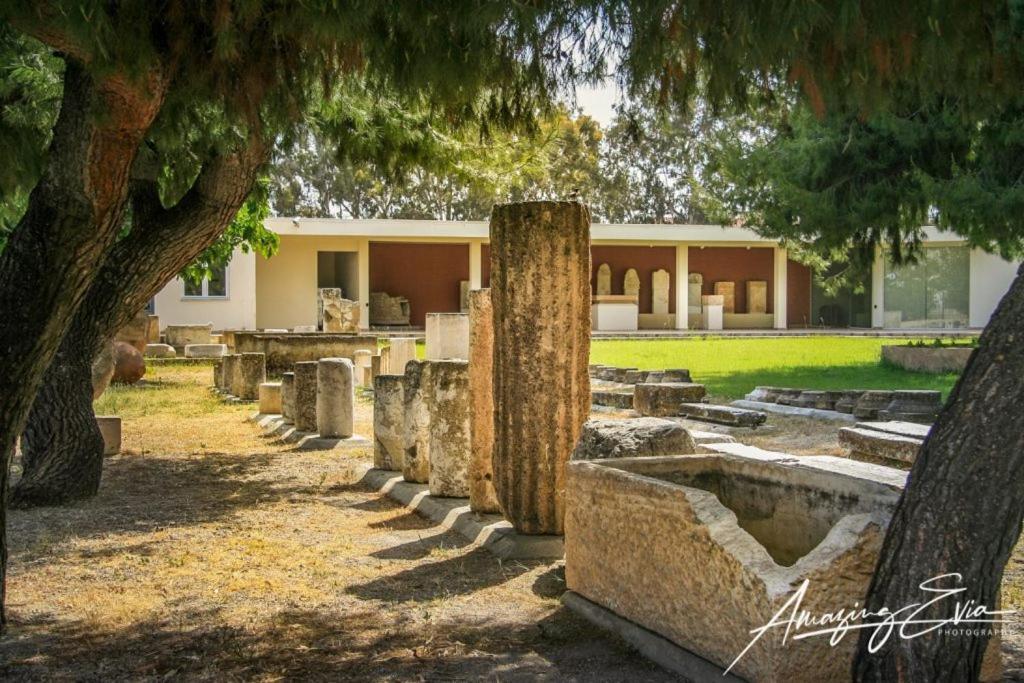 Seaside Villa Andronikos Amarynthos Eksteriør bilde