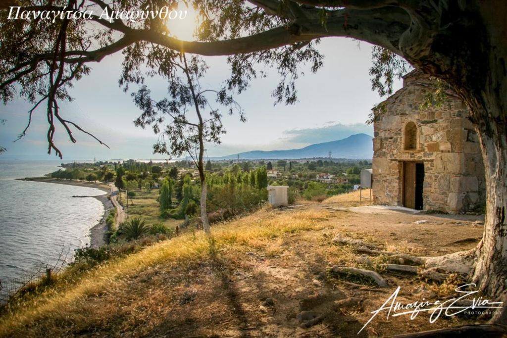 Seaside Villa Andronikos Amarynthos Eksteriør bilde